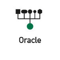 Bild på ibaPDA-Data-Store-Oracle-256