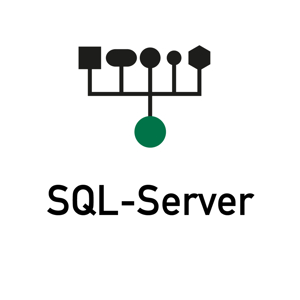 Bild för kategori SQL-Server